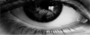 Decorative black and white result visual